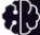 Brainplatform